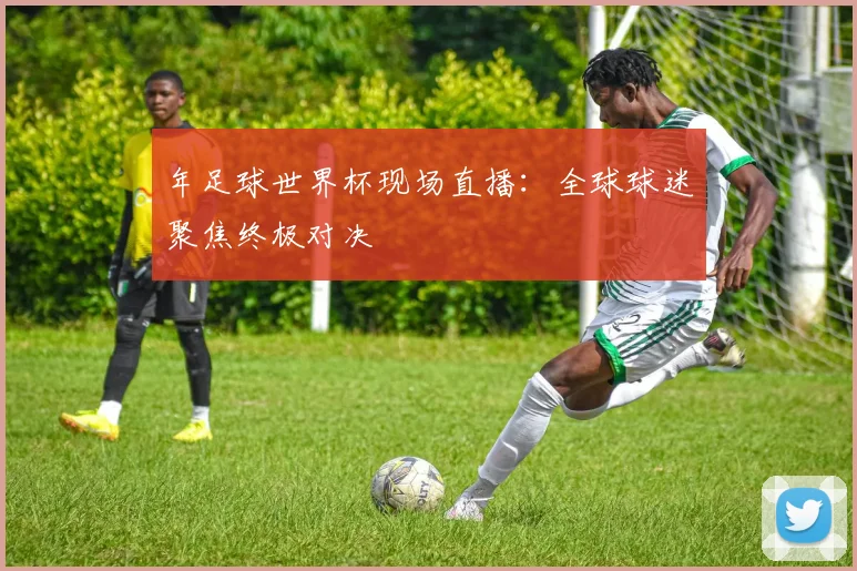 年足球世界杯现场直播:全球球迷聚焦终极对决