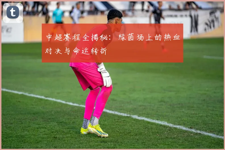 中超赛程全揭秘:绿茵场上的热血对决与命运转折