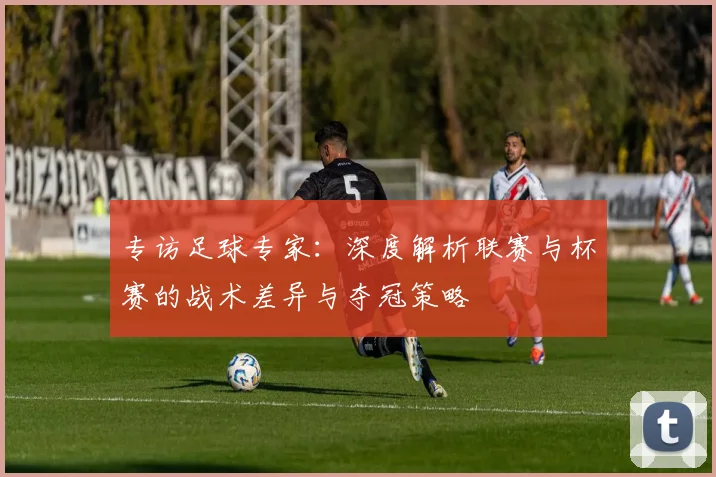 专访足球专家:深度解析联赛与杯赛的战术差异与夺冠策略